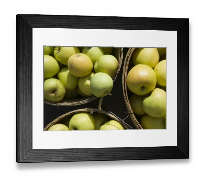 Framed Print : USA, North America, Oregon Framed Print : USA, North America, Oregon