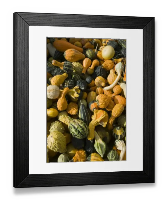 Framed Print : USA, North America, Oregon Framed Print : USA, North America, Oregon