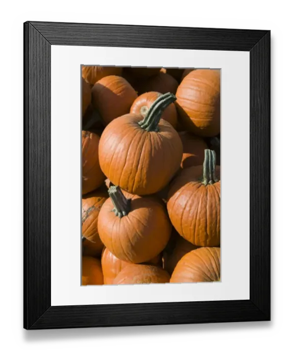 Framed Print : USA, North America, Oregon Framed Print : USA, North America, Oregon