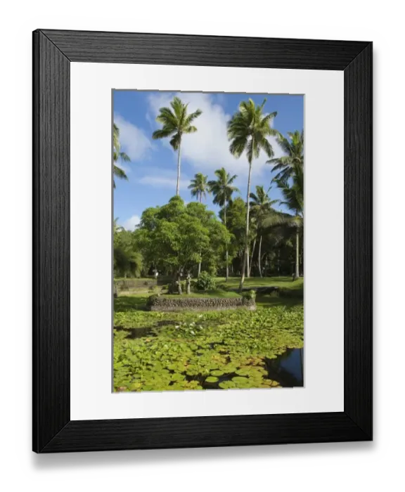 Framed Print : Oceania, Fiji Framed Print : Oceania, Fiji