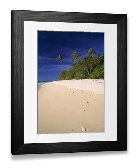 Framed Print : Fiji Islands, Tavarua. A shell washes up onto the fine, sandy beach on Tavarua, in the Fiji Islands Framed Print : Fiji Islands, Tavarua. A shell washes up onto the fine, sandy beach on Tavarua, in the Fiji Islands