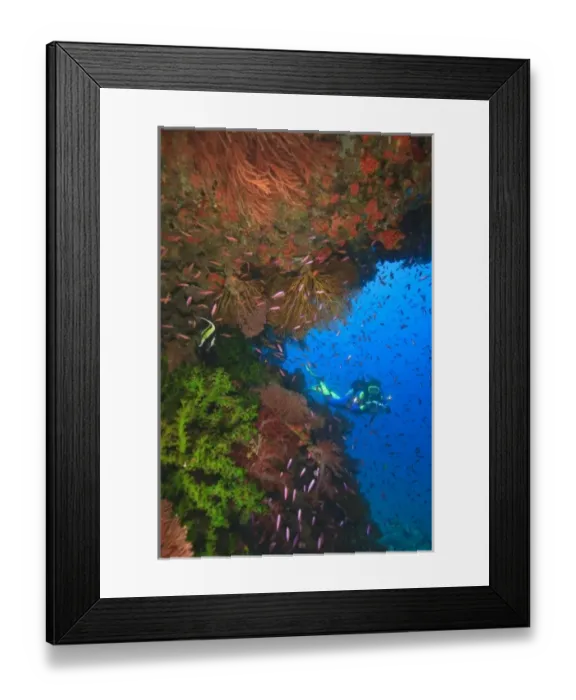 Framed Print : MR Diver near large Soft Coral-lined underwater Arch near Beqa Island off Southern Viti Levu Framed Print : MR Diver near large Soft Coral-lined underwater Arch near Beqa Island off Southern Viti Levu