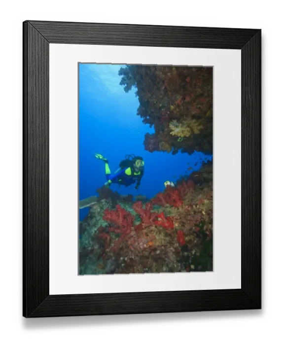 Framed Print : MR Diver near large Soft Coral-lined underwater Arch near Beqa Island off Southern Viti Levu Framed Print : MR Diver near large Soft Coral-lined underwater Arch near Beqa Island off Southern Viti Levu