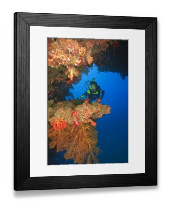Framed Print : MR Diver near large Soft Coral-lined underwater Arch near Beqa Island off Southern Viti Levu Framed Print : MR Diver near large Soft Coral-lined underwater Arch near Beqa Island off Southern Viti Levu