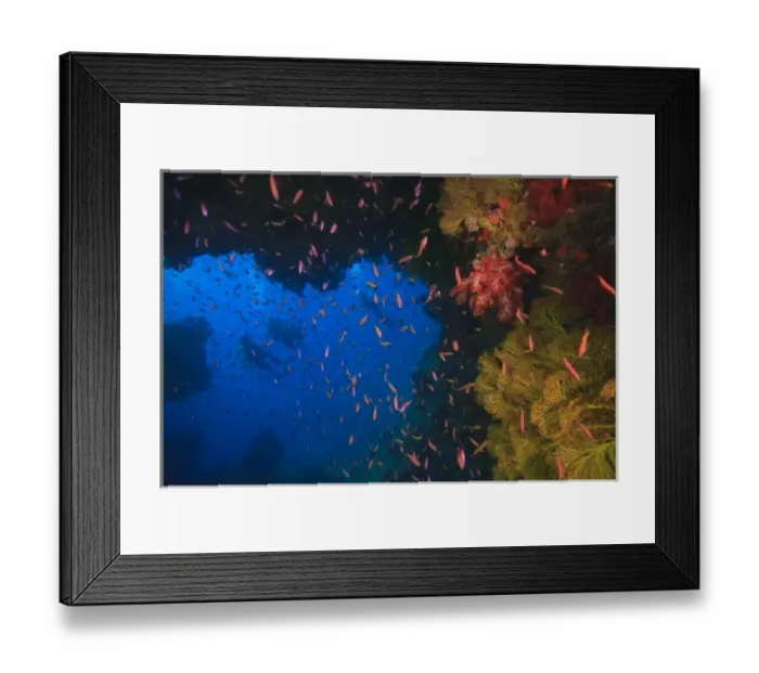 Framed Print : MR Divers near large Soft Coral-lined underwater Arch near Beqa Island off Southern Viti Levu