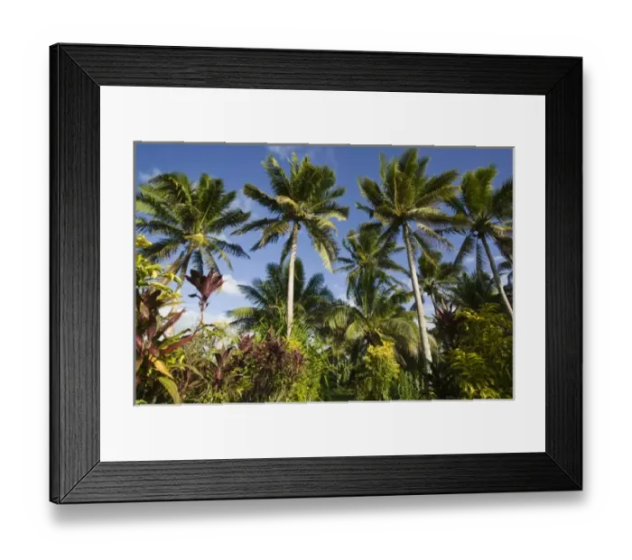Framed Print : Vanuatu, Efate Island, ERAKOR. Palms / Erakor Island Framed Print : Vanuatu, Efate Island, ERAKOR. Palms / Erakor Island