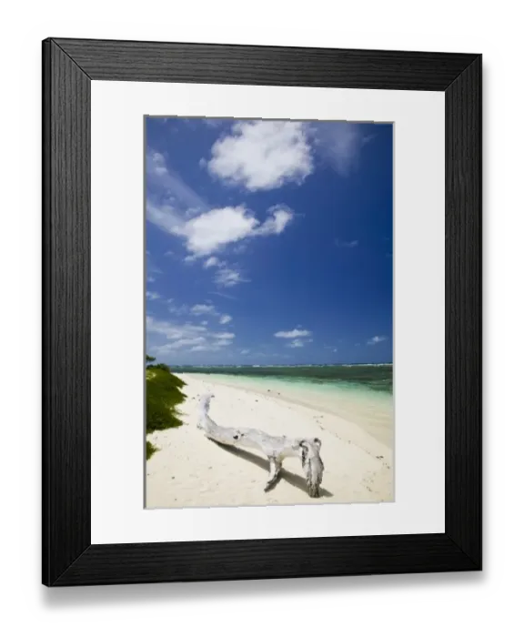 Framed Print : New Caledonia, Amedee Islet. Amedee Islet Shore View Framed Print : New Caledonia, Amedee Islet. Amedee Islet Shore View
