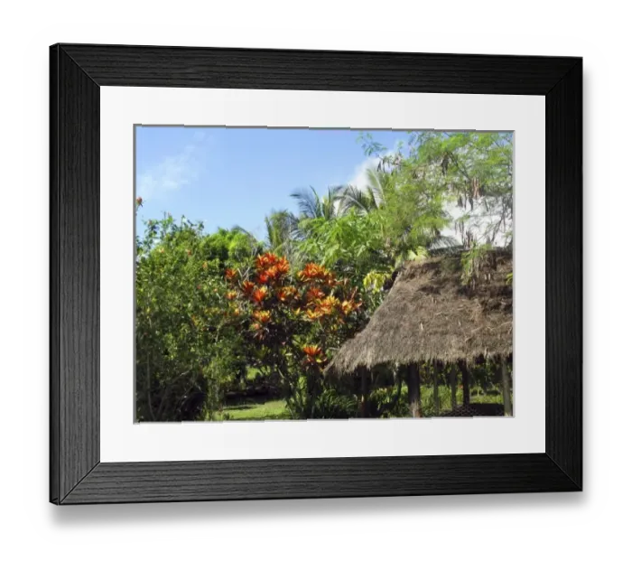 Framed Print : Oceania, Papau New Guinea Framed Print : Oceania, Papau New Guinea
