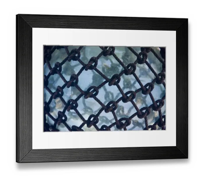 Framed Print : Oceania, French Polynesia, Moorea. Detailed view of a glass fishing float. Credit as