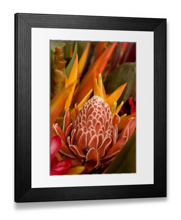 Framed Print : French Polynesia. Tropical native flowers Framed Print : French Polynesia. Tropical native flowers