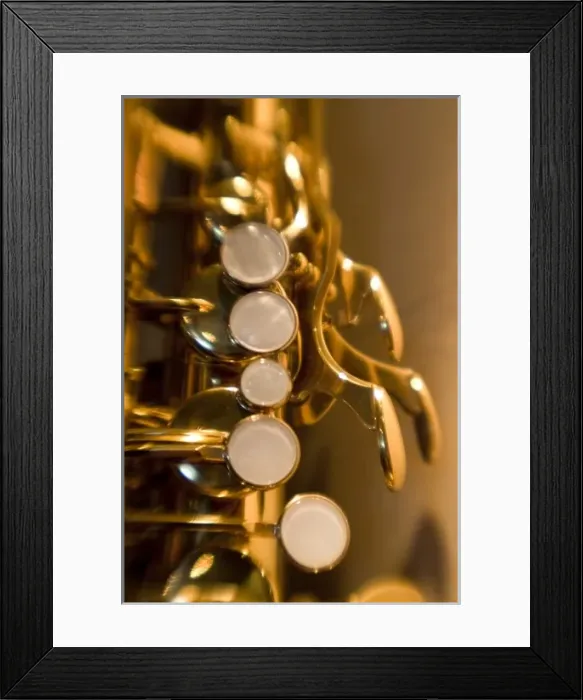 Framed Print : French Polynesia. Close-up of saxophone used in band Framed Print : French Polynesia. Close-up of saxophone used in band