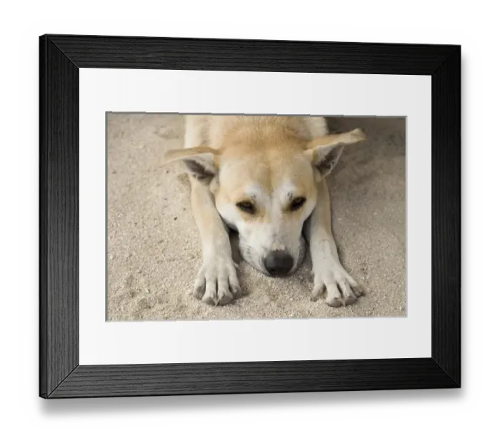 Framed Print : Oceania, French Polynesia Framed Print : Oceania, French Polynesia