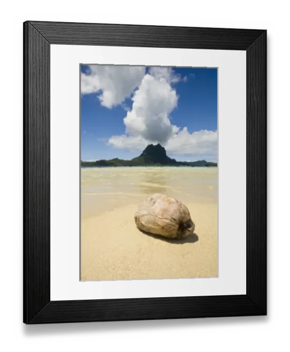 Framed Print : Visit to small picnic island in lagoon at Bora Bora, View of Mt. Otemanu Framed Print : Visit to small picnic island in lagoon at Bora Bora, View of Mt. Otemanu