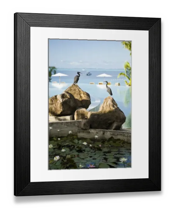 Framed Print : Oceania, French Polynesia Framed Print : Oceania, French Polynesia