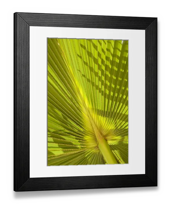 Framed Print : Oceania, French Polynesia