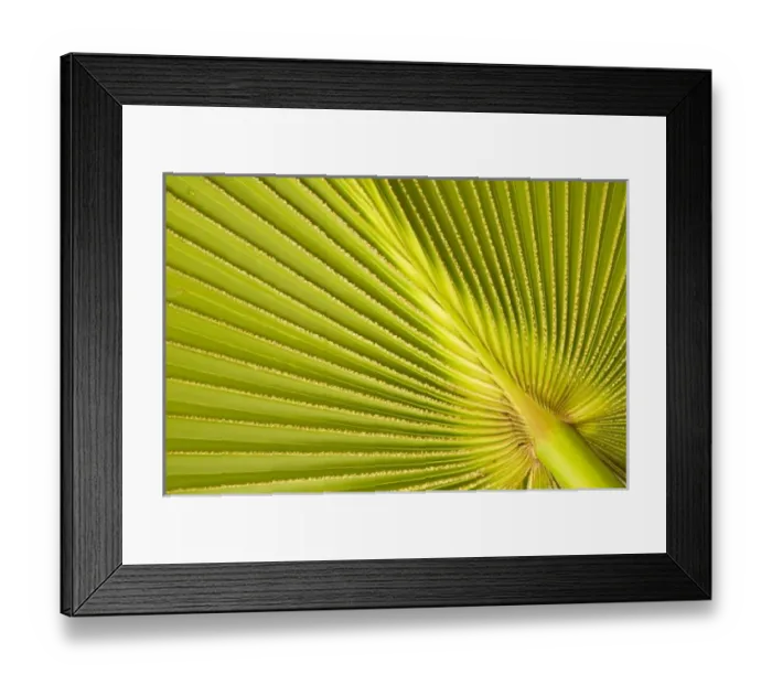 Framed Print : Oceania, French Polynesia