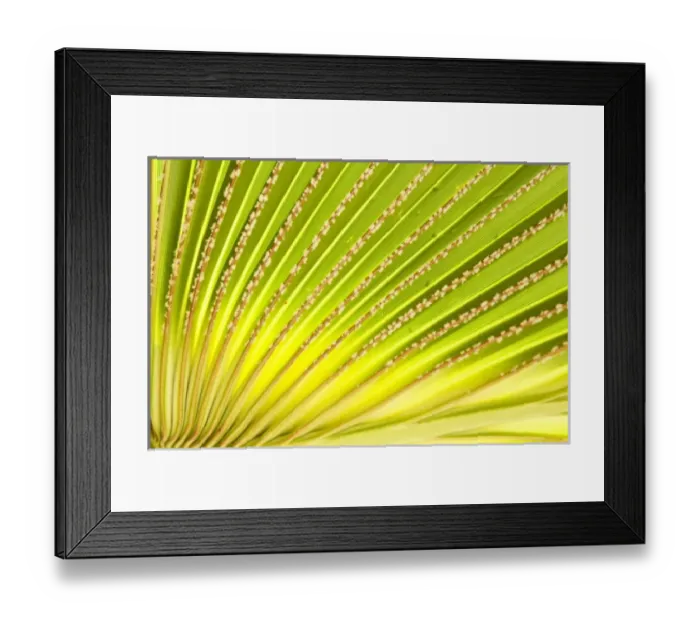 Framed Print : Oceania, French Polynesia