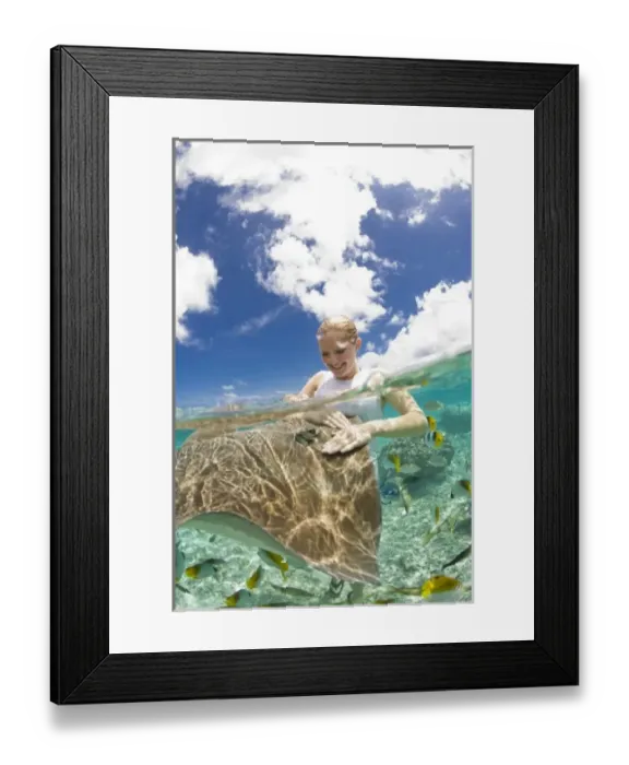 Framed Print : Lagoon safari trip to snorkel, stingrays (Himantura fai), small blacktip sharks Framed Print : Lagoon safari trip to snorkel, stingrays (Himantura fai), small blacktip sharks