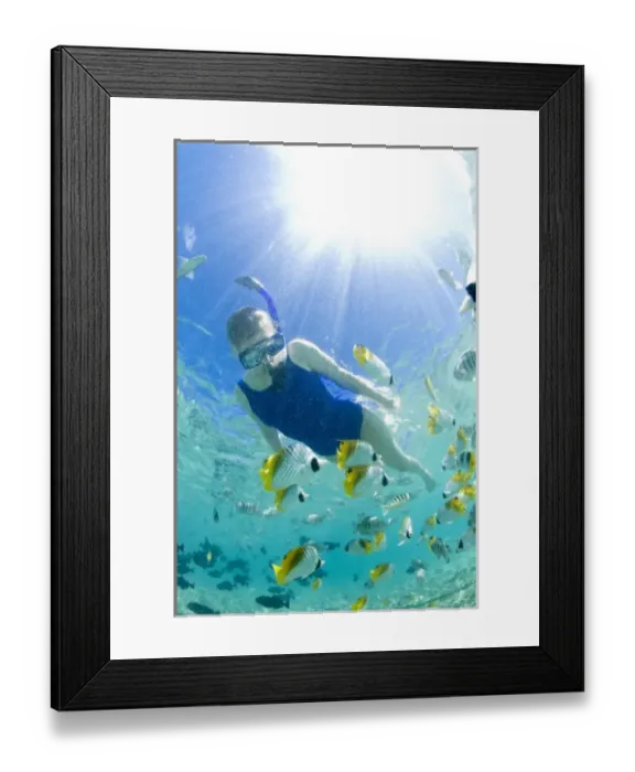Framed Print : Lagoon safari trip to snorkel, stingrays (Himantura fai), small blacktip sharks Framed Print : Lagoon safari trip to snorkel, stingrays (Himantura fai), small blacktip sharks