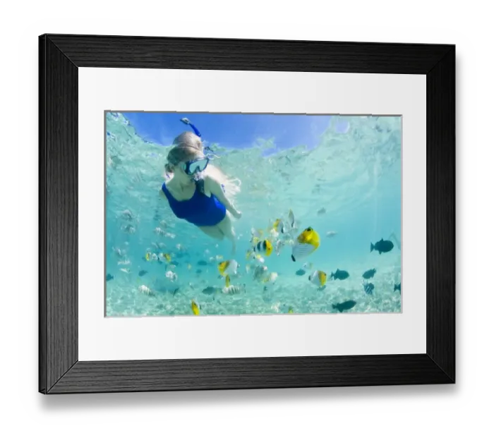 Framed Print : Lagoon safari trip to snorkel, stingrays (Himantura fai), small blacktip sharks Framed Print : Lagoon safari trip to snorkel, stingrays (Himantura fai), small blacktip sharks