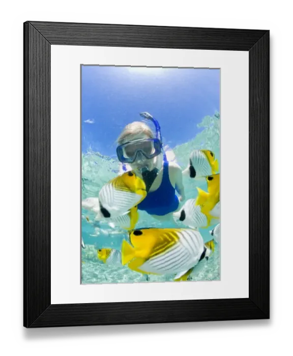Framed Print : Lagoon safari trip to snorkel, stingrays (Himantura fai), small blacktip sharks