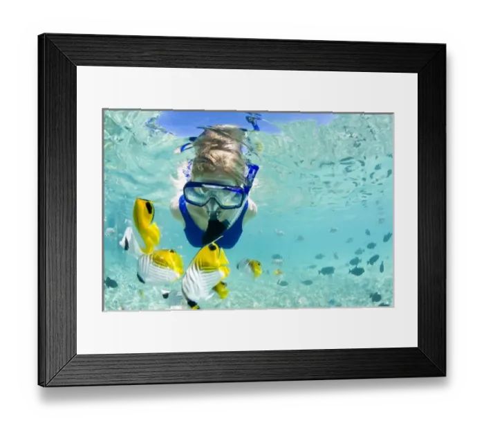Framed Print : Lagoon safari trip to snorkel, stingrays (Himantura fai), small blacktip sharks Framed Print : Lagoon safari trip to snorkel, stingrays (Himantura fai), small blacktip sharks