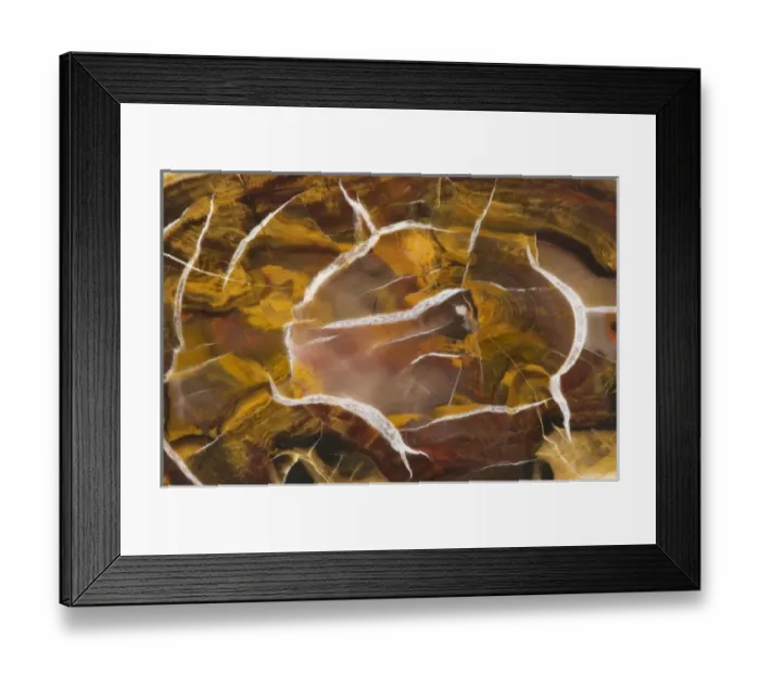 Framed Print : Argentina. Close-up of petrified wood Framed Print : Argentina. Close-up of petrified wood