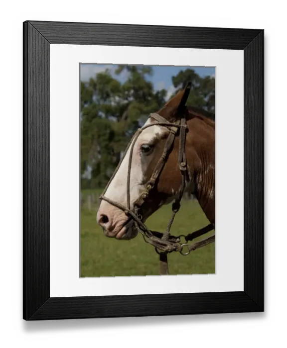 Framed Print : South America, Argentina