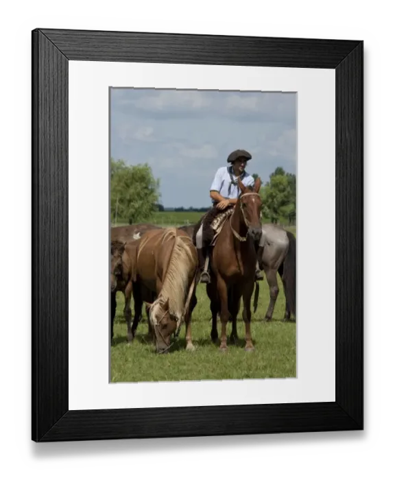 Framed Print : South America, Argentina