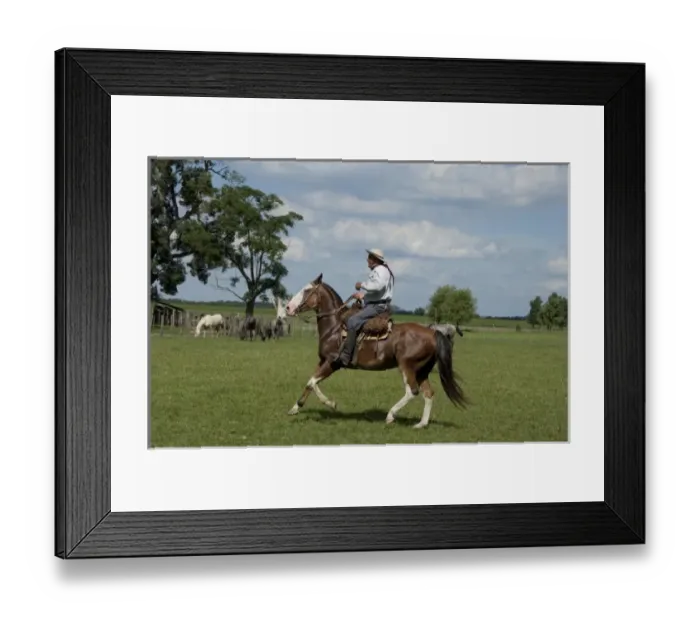 Framed Print : Argentina, Buenos Aires, San Antonio de Areco. Estancia El Ombu de Areco. Typical