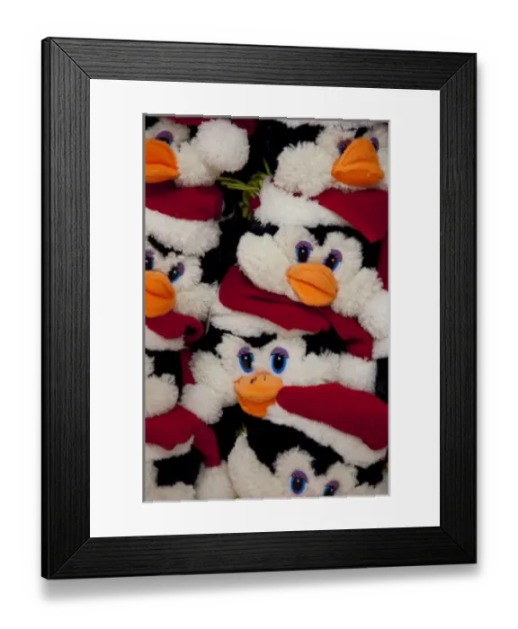 Framed Print : Argentina, Ushuaia. Typical souvenirs, stuffed penguins Framed Print : Argentina, Ushuaia. Typical souvenirs, stuffed penguins