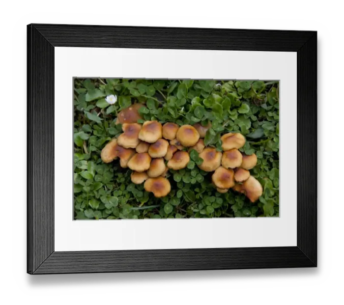 Framed Print : South America, Argentina Framed Print : South America, Argentina