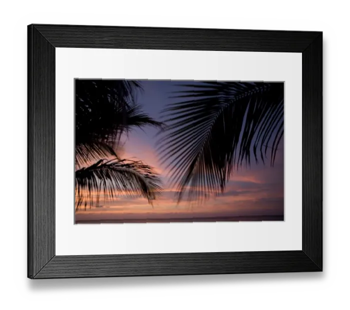 Framed Print : Cayman Islands, Little Cayman Island, Silhouette of palm trees as sunset lights clouds