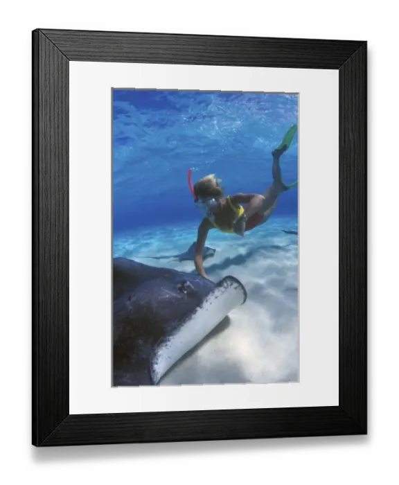 Framed Print : Stingray City, Grand Cayman, Cayman Islands, Caribbean (MR)