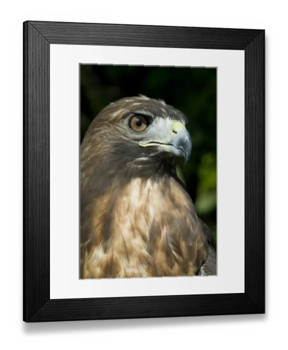 Framed Print : Caribbean, US Virgin Islands Framed Print : Caribbean, US Virgin Islands