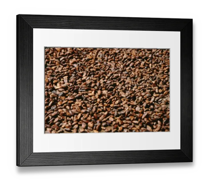 Framed Print : Caribbean, Lesser Antilles, West Indies, Saint Lucia, Soufriere. Fond Doux Estate Framed Print : Caribbean, Lesser Antilles, West Indies, Saint Lucia, Soufriere. Fond Doux Estate