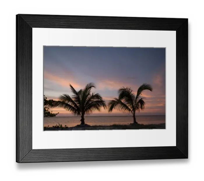 Framed Print : Cayman Islands, Little Cayman Island, Silhouette of palm trees as sunset lights clouds