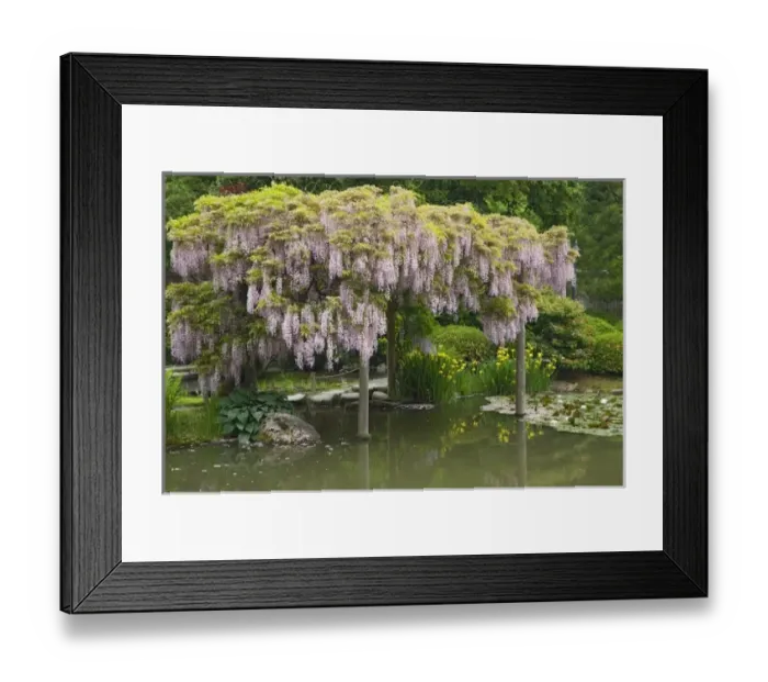 Framed Print : USA, North America, Washington Framed Print : USA, North America, Washington