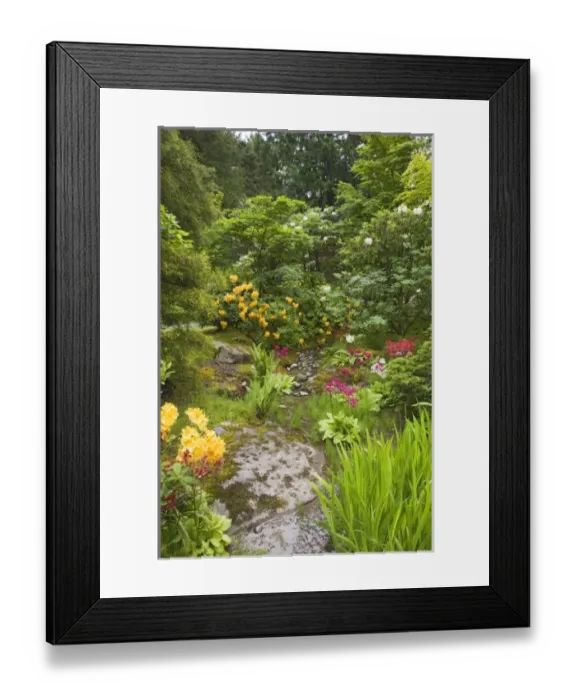 Framed Print : USA, North America, Washington Framed Print : USA, North America, Washington