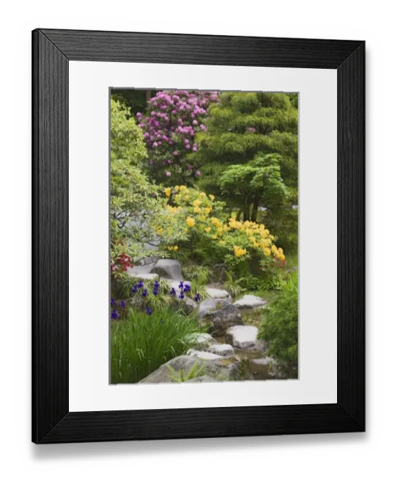 Framed Print : USA, North America, Washington Framed Print : USA, North America, Washington