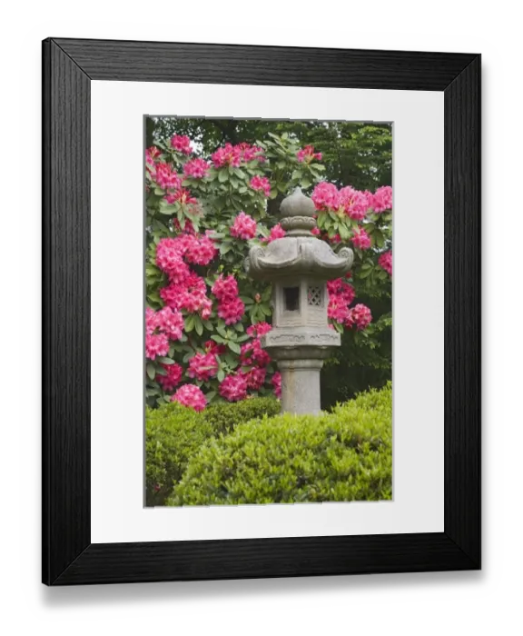 Framed Print : USA, North America, Washington