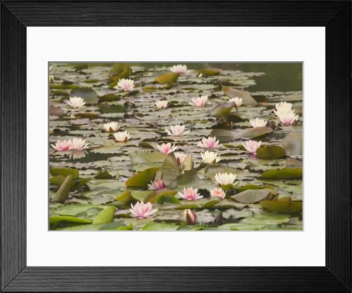 Framed Print : USA, North America, Washington