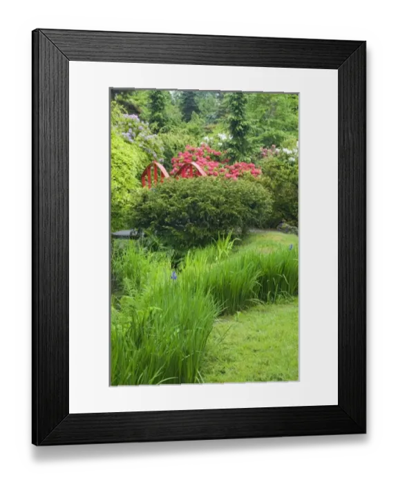 Framed Print : USA, North America, Washington Framed Print : USA, North America, Washington