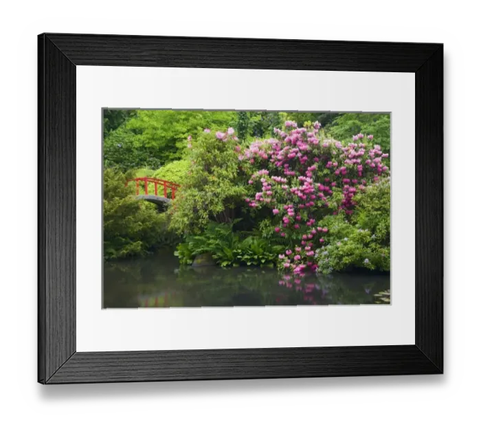 Framed Print : USA, North America, Washington