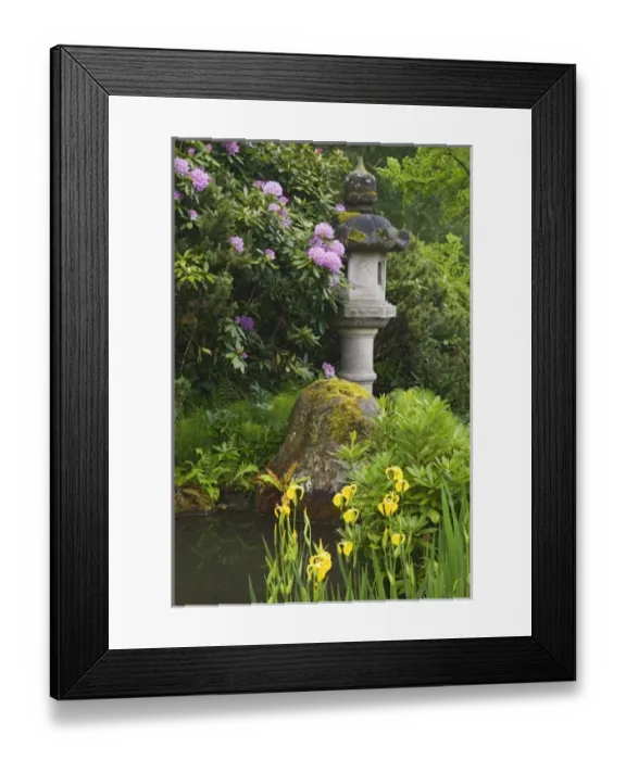 Framed Print : USA, North America, Washington