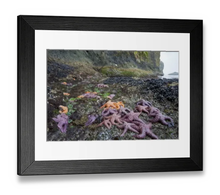 Framed Print : USA, North America, Washington Framed Print : USA, North America, Washington