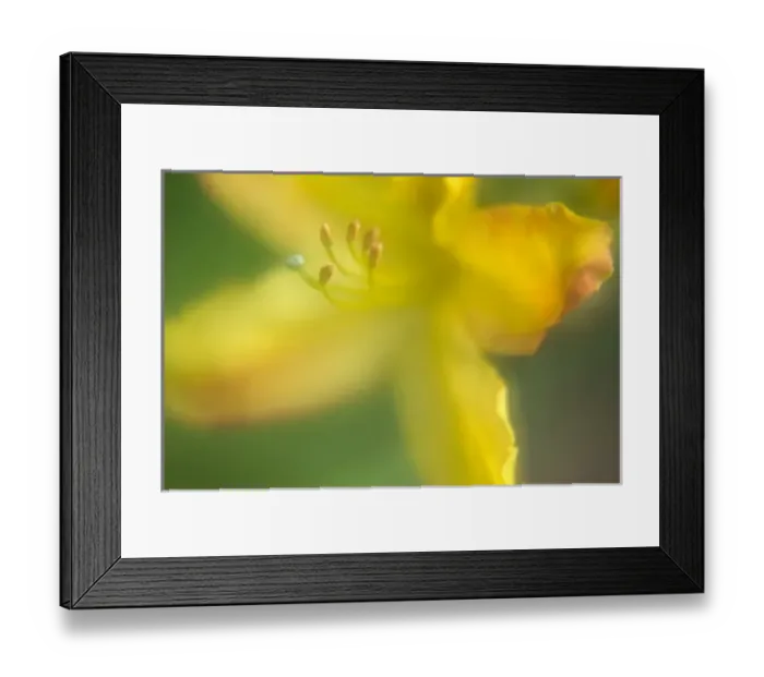 Framed Print : USA, North America, Washington