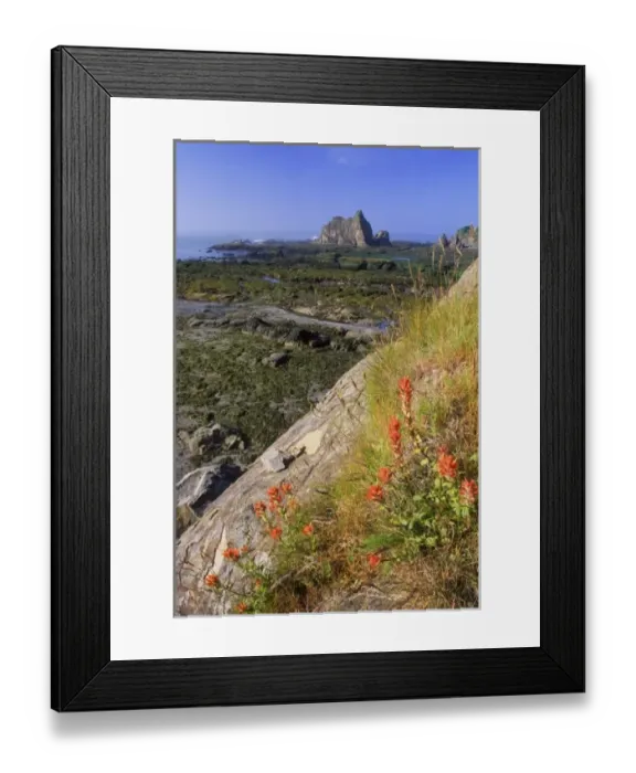 Framed Print : USA, North America, Washington Framed Print : USA, North America, Washington