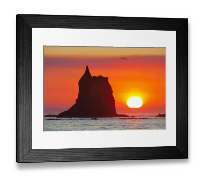 Framed Print : USA, WA, Olympic National Park. Sea stack and orange sky at sunset, near Toleak Point