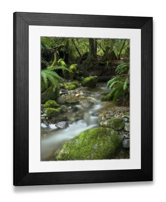 Framed Print : USA, North America, Washington